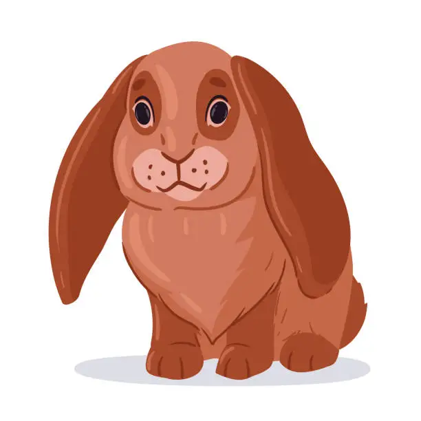 Vector illustration of Easter bunny. Cute lop-eared rabbit, eared domestic animal, little fluffy bunny flat vector illustration. Easter spring holiday rabbit on white