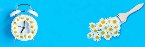 istock White alarm clock and paintbrush with chamomile on the blue background. Copy space. Top view. 2094458130