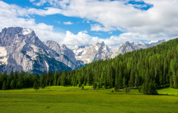the forest turns intense green while the snow melts on the mountains