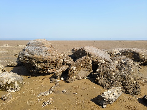 Group of rocks , beyt dwarika beach Gujarat,India