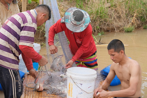 Roi-Et Province, Thailand - March 10: Villagers are helping to bring fish nets out of the swamp.