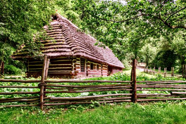 Sanok, Poland - July 16, 2022: Charming summer landscape in the village, small white house, fresh big trees and blue sky.