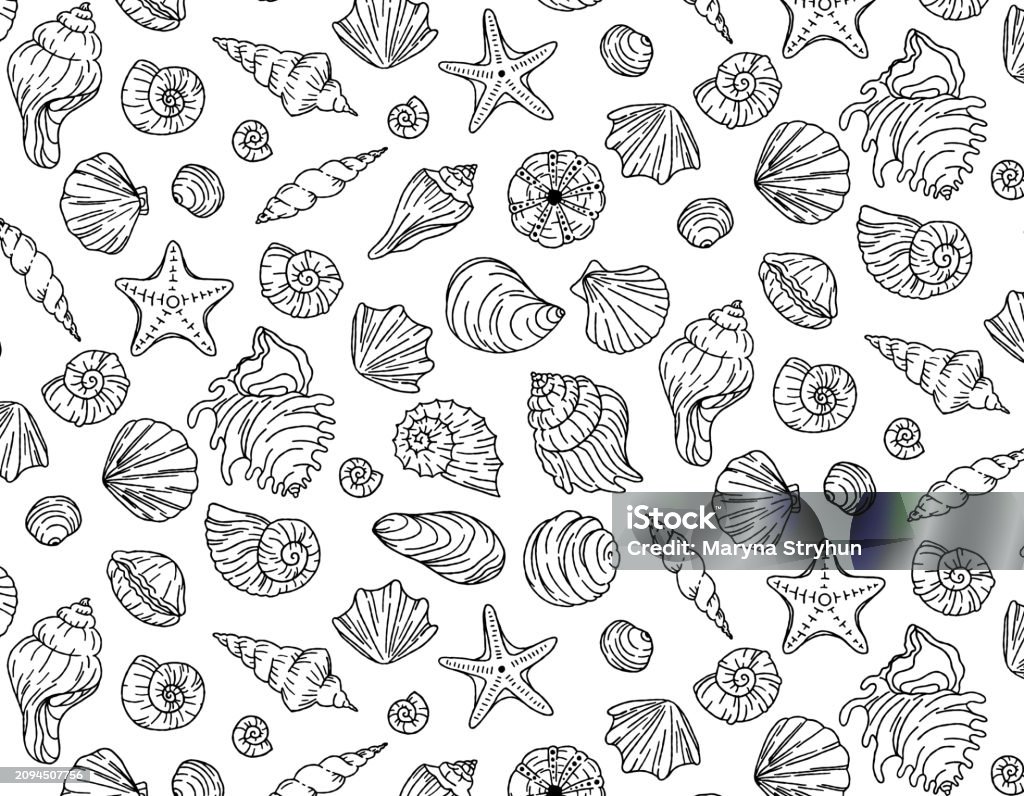 Sea Shells Black And White Seamless Vector Background Vector Graphics ... Sea Shells Black And White Seamless Vector Background Vector Graphics ...