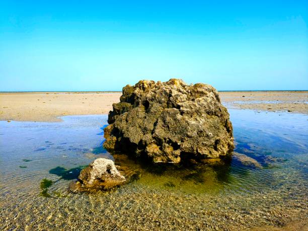 природный морской пейзаж острова нарара, гуджарат, индия. - horizontal landscape coastline gujarat стоковые фото и изображения