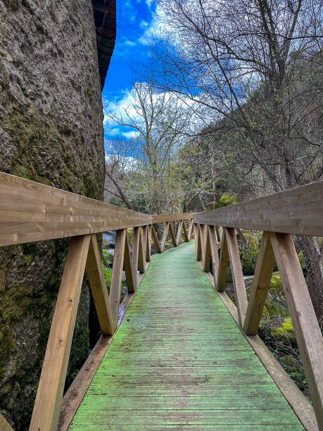 istock Walkway trilho dos Gaios 2094529714