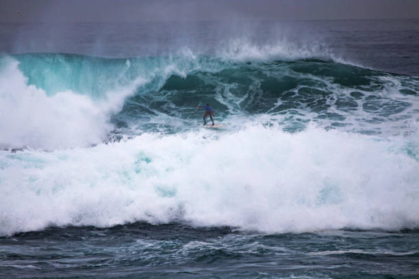 istock The giant cow surf 2024 2094543615
