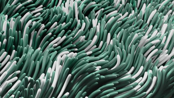 istock 3 render Background of animated green and white abstract anemones 2094544700