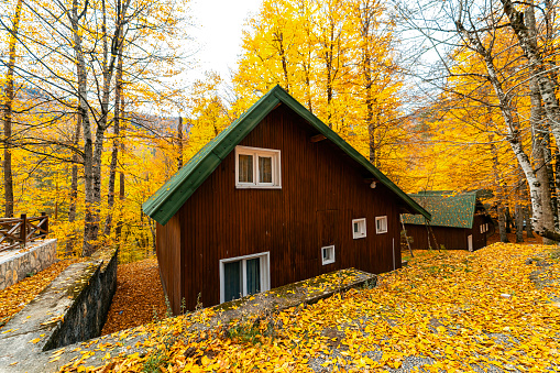 Autumn view of Yedigöller National Park in Bolu. A small wooden house in the most beautiful natural place of Turkey.