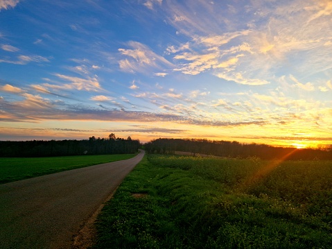 Country road surrounded by green fields at sunset