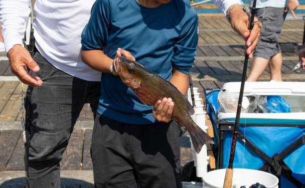 Catch of the day person holding fish on the dock