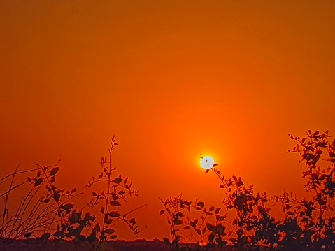 Sunrise scene at Narara island Gujarat