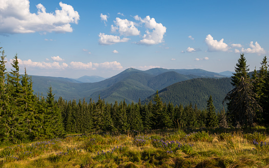 Summer landscape in Gorgany region of Carpathian Mountains, Ukraine