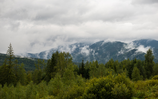 Summer landscape in Gorgany region of Carpathian Mountains, Ukraine