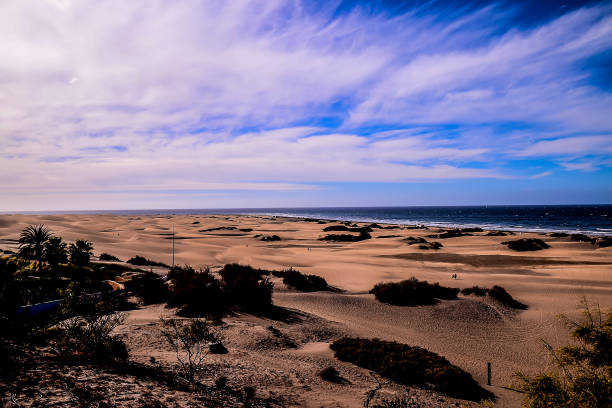 playa del ingles tropical beach - image alternative energy canary islands color image imagens e fotografias de stock