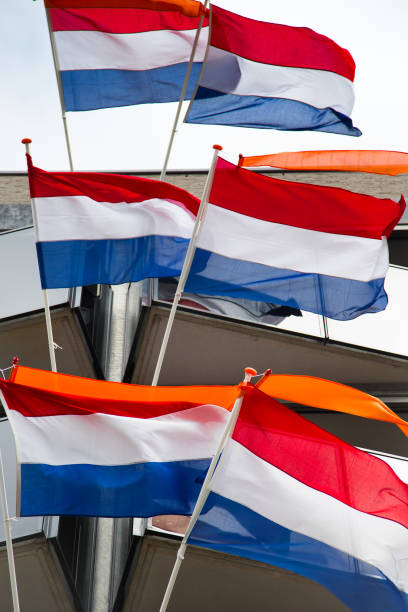 Multiple Dutch flags with orange pennant in the wind