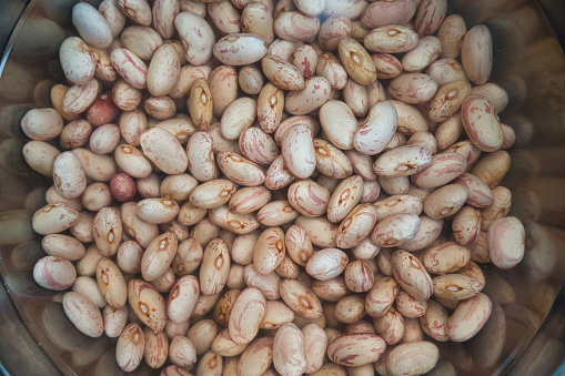 Preparation in Progress: A Close-Up Portrait of Dried Borlotti Beans Submerging in a Bowl of Water, Initiating the Rehydration Process for Cooking