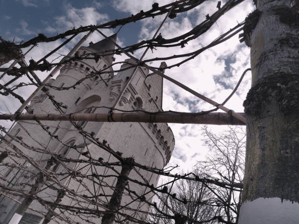 Brussels, Belgium. 03-18-2024. View from under the tree, unusual view. Today, the Halle Gate has been lovingly preserved and transformed into a museum, offering visitors a glimpse into Brussels. High resolution 50 megapixels photo