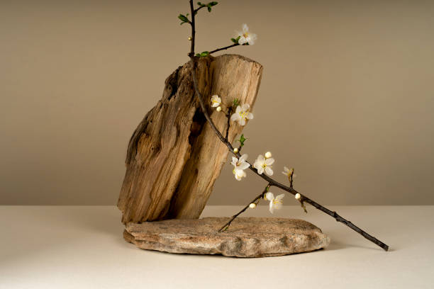 istock Podium for exhibitions and product presentations, material stone, spring flowers. Beautiful beige background made from natural materials. Abstract spring nature scene with composition. 2094680639