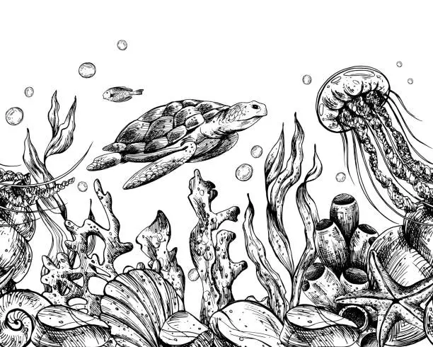 Vector illustration of Underwater world clipart with sea animals whale, turtle, octopus, seahorse, starfish, shells, coral and algae. Graphic illustration hand drawn in black ink. Seamless border EPS vector.