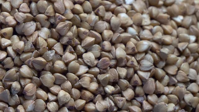 Macro video of buckwheat, full frame, slide shot. Highly detailed video in full hd.