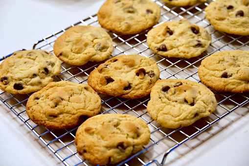 A dozen freshly baked, homemade chocolate chip cookies cools on a drying rack after being removed from an oven.k