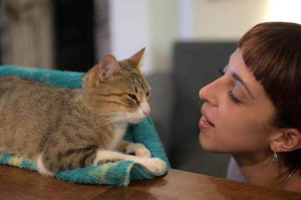 istock woman looking at her cat on the table 2094708503