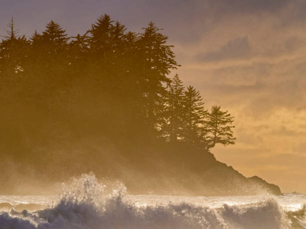 istock Vancouver Island British Columbia 2094753482