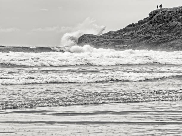 istock Vancouver Island British Columbia 2094754531