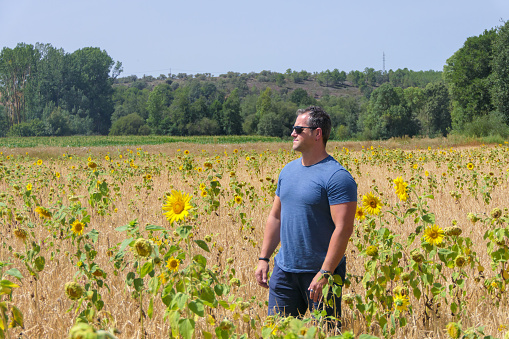 Man in profile smiling softly wearing black sunglasses in the middle of sunflowers field in a sunny day, blue sky, background grove