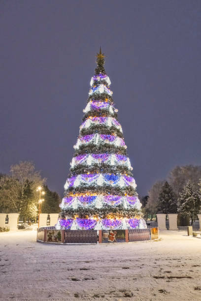istock beautiful New Year tree in a winter park 2094785620