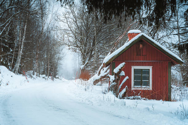 istock Swedish house in the forest 2094805601