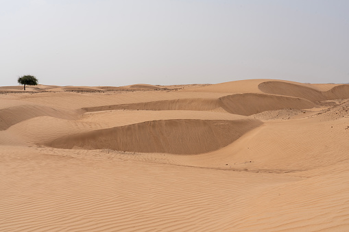 Beautiful shape of sand dunes in the Niger