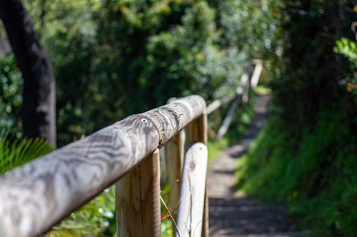 Hiking trail to Molinos river, Istan, Marbella, Spain