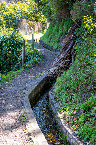 Hiking trail to Molinos river, Istan, Marbella, Spain