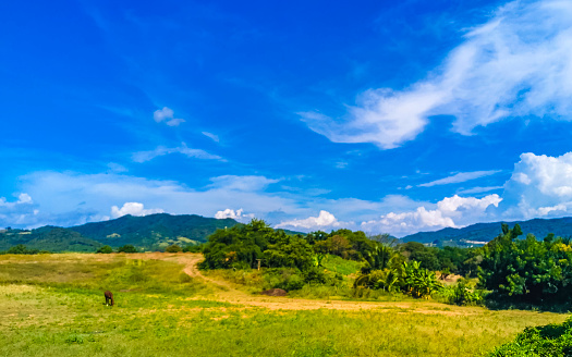 Drive past the tropical jungle mountains and countryside landscape in Mazunte Oaxaca Mexico.