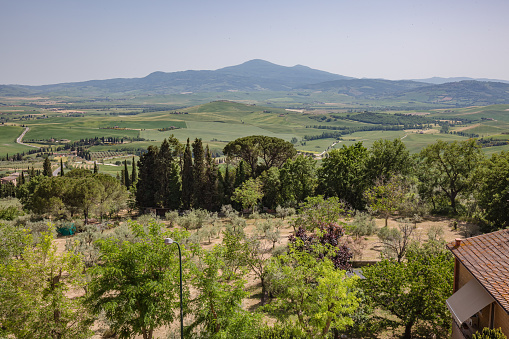Pienza, Italy - 23 of May 2022: Tuscany amazing landscape typical view for the region tuscan countryside with green field hills, vineyard, cypresses trees in day sun lights.