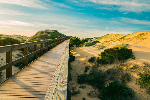Rustic wooden boardwalk through sand dunes and native forest leading to the beach. sunset time in Oceano, California Central Coast