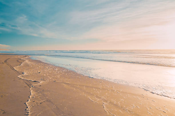 Sunset on the beach, abstract seascape in light colors, copy space for the text