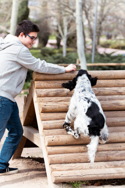 istock Man with a Cocker Spaniels in a dog park. 2094933841