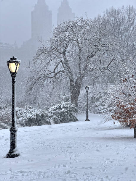 istock Central Park in winter , snow storm 2094947951