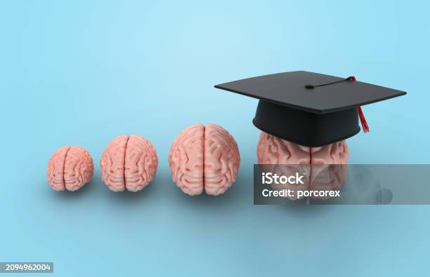 Graduating Brain Brain With Graduation Cap Stock Photo - Download Image Now ...