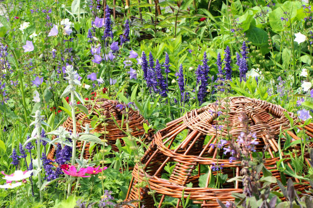 Fresh vegetables, herbs and flowers in the garden.