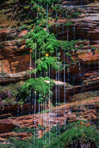Lighting effects caused by the sun rays passing through the fine threads of water filtered by the moss on a cliff in Courel Mountais Unesco Geopark in Lugo Galicia