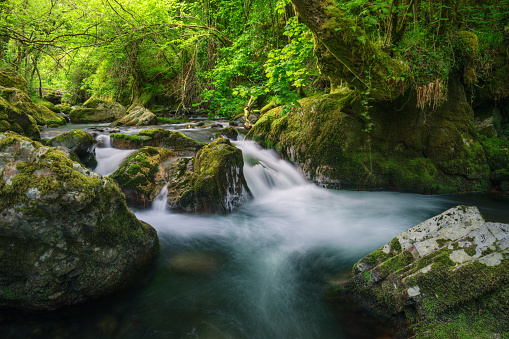 Small river goes around rocks and surrounds trees in spring in Courel Mountais Unesco Geopark in Lugo Galicia