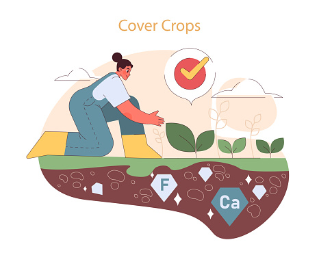 Cover Crops concept. Woman nurturing young plants, enriching soil with essential nutrients. Soil protection and fertility improvement.