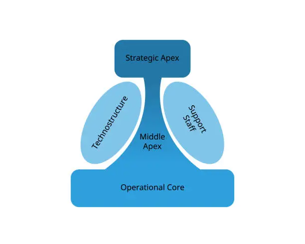 Vector illustration of Organizational Model components for Strategic apex, middle apex, operational core, support staff, Technostructure