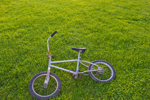 BMX bike lying on the grass