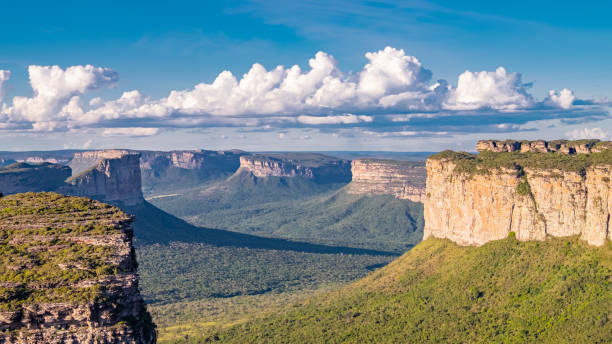 istock Panoramic view from Mount Pai Inacio in Chapada Diamantina 2095183958