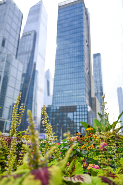 istock Corporate High ups in Manhattan 2095194822