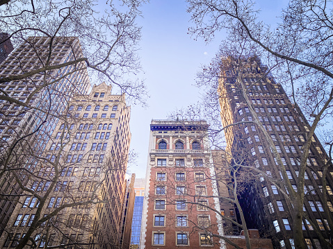 Corporate High ups in Manhattan. Bryant park. Winter trees.